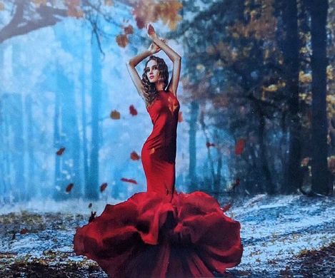 Картина за номерами "Дівчина в червоній сукні" 40 * 50 см